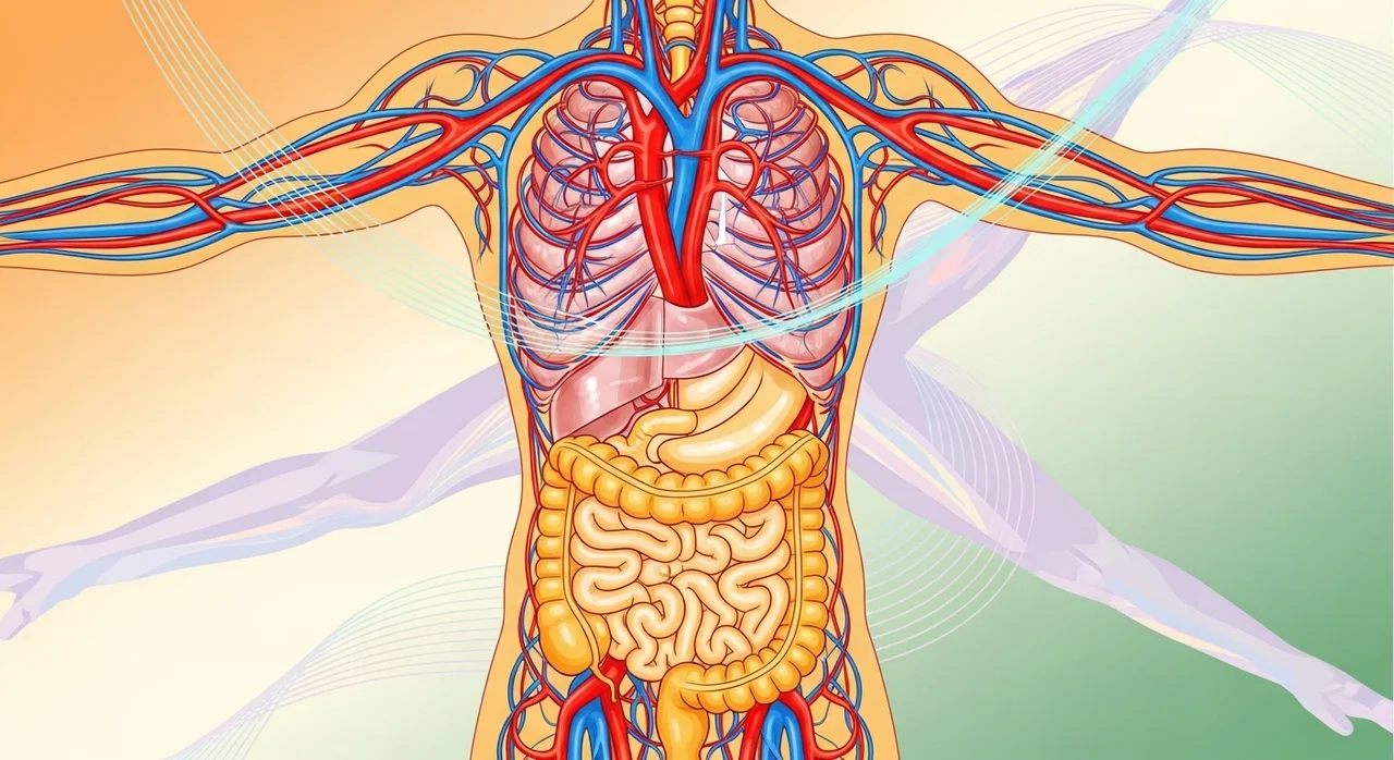 4. 혈액 순환 및 소화 기능 개선
