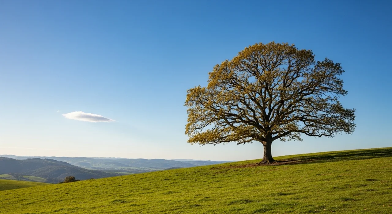 매일 바쁘게 사는데 왜 공허할까요? 답은 '최소한의 생각'에 있습니다