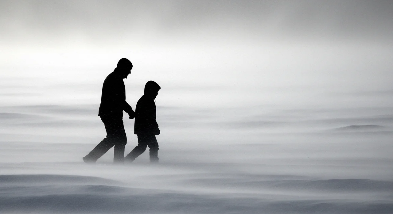 인사이트 1: 타인의 고통에 접속하는 법